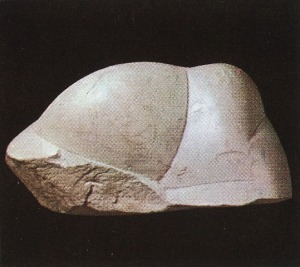 sepiolite