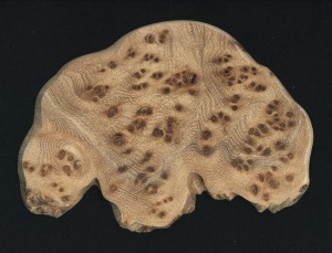 ハルニレのバーズアイ ハルニレのバーズアイ