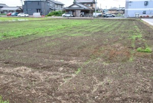 静けさの戻った休耕田