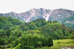野谷荘司山東面の名残雪