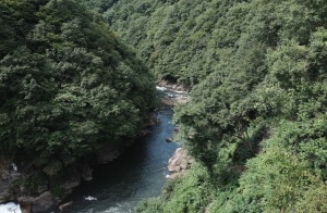 三成ダム直下の渓流