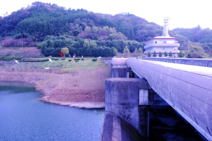 比奈知ダムの左岸上流の様子